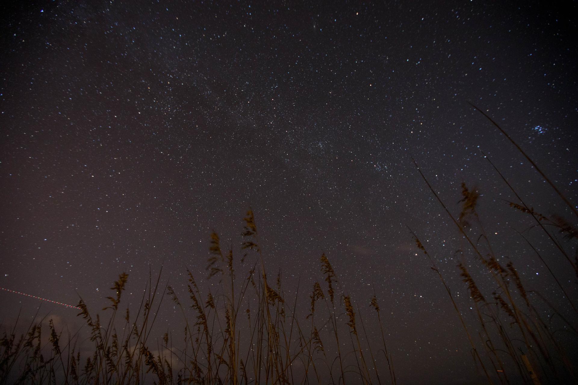 A dark night sky full of stars above beach grass, with a satellite trail crossing the lower left